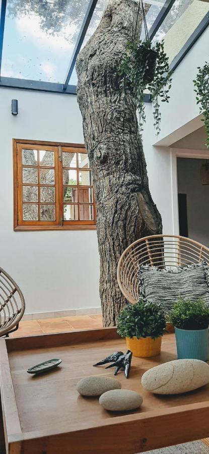 Beach Tree House Porto Santo Exterior foto